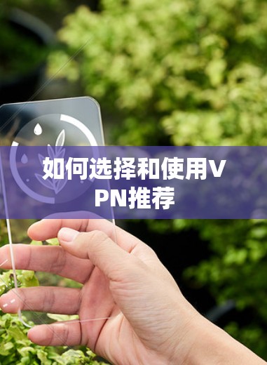 如何选择和使用VPN推荐 如何选择和使用VPN推荐