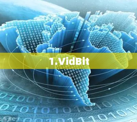 1.VidBit 1.VidBit