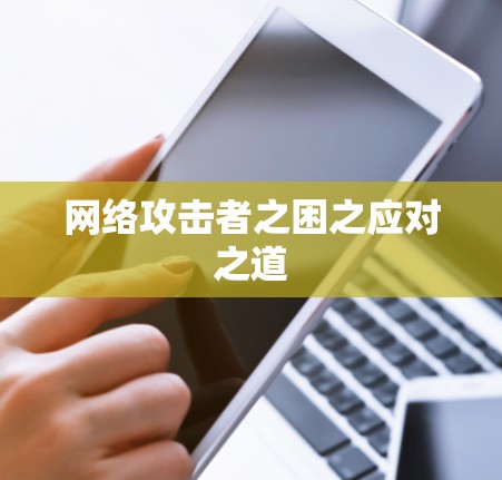 网络攻击者之困之应对之道