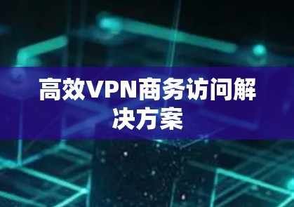 高效VPN商务访问解决方案