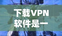 下载VPN软件是一个相对简单的过程，但需要耐心和系统学习。以下是一个分步骤的指南，帮助你轻松地下载和使用VPN软件