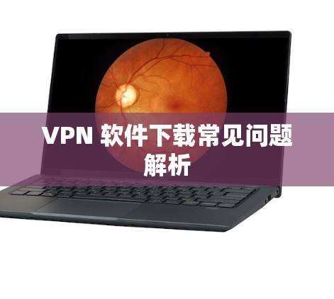 VPN 软件下载常见问题解析 VPN 软件下载常见问题解析