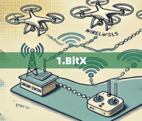 1.BitX 1.BitX