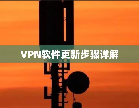 VPN软件更新步骤详解