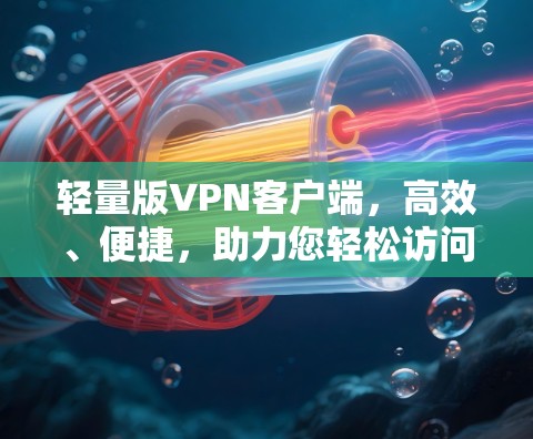 轻量版VPN客户端，高效、便捷，助力您轻松访问网络