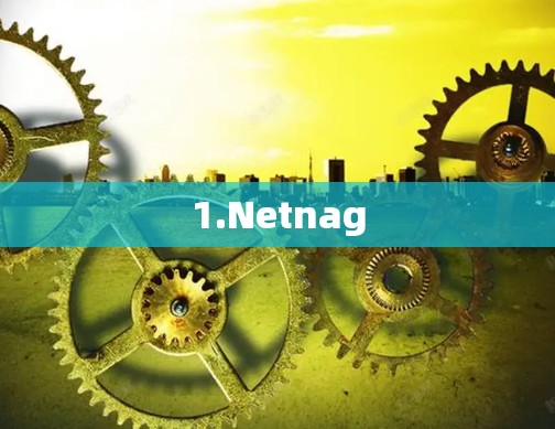 1.Netnag