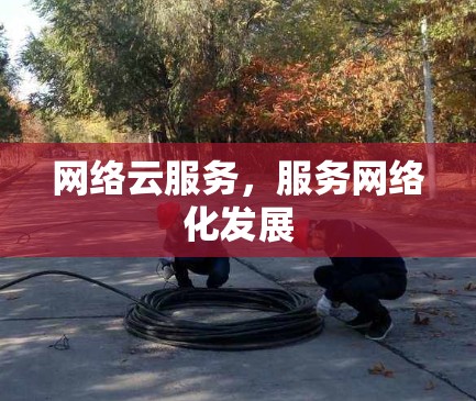网络云服务，服务网络化发展