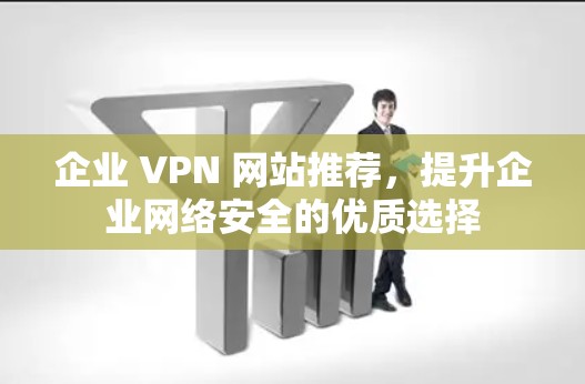 企业 VPN 网站推荐，提升企业网络安全的优质选择
