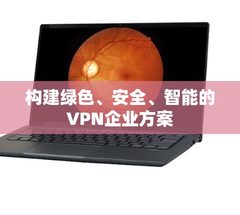 构建绿色、安全、智能的VPN企业方案
