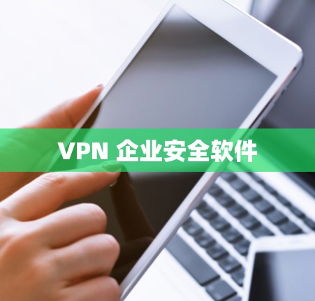 VPN 企业安全软件