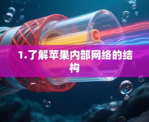1.了解苹果内部网络的结构