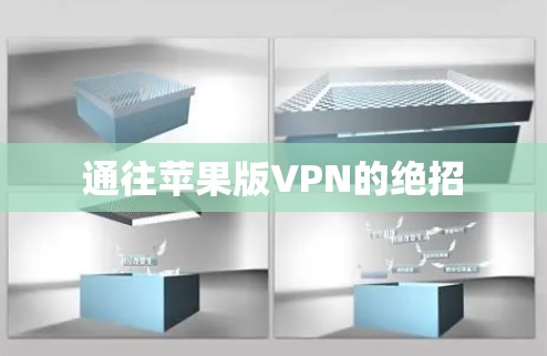 通往苹果版VPN的绝招