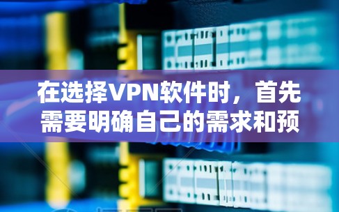 在选择VPN软件时，首先需要明确自己的需求和预算。以下是一些适合苹果设备的VPN软件推荐
