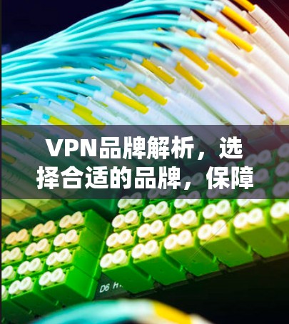 VPN品牌解析，选择合适的品牌，保障网络安全