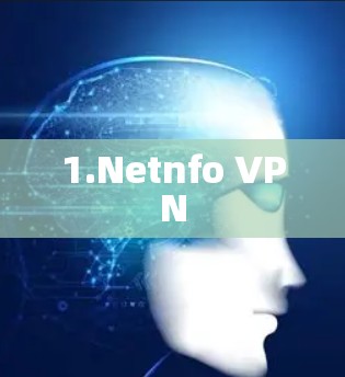 1.Netnfo VPN