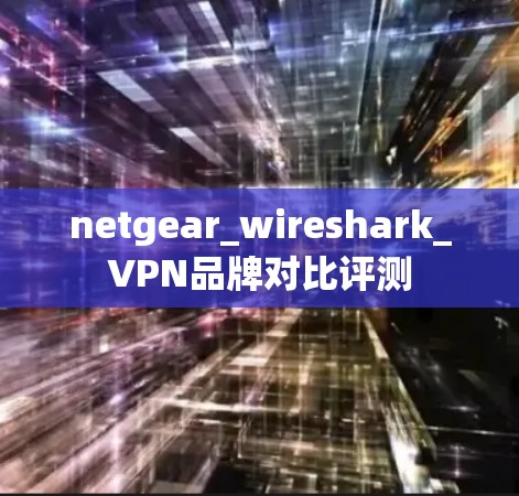 netgear_wireshark_VPN品牌对比评测