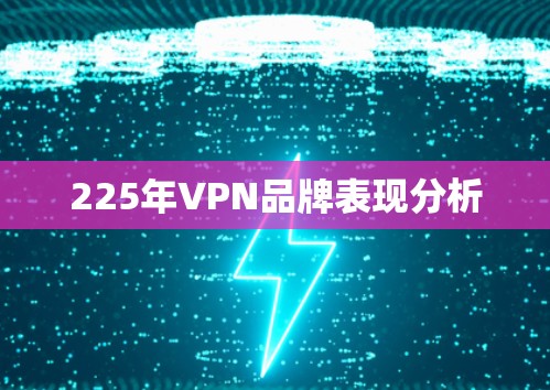 225年VPN品牌表现分析