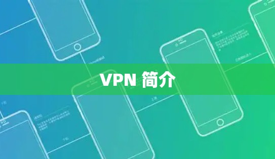 VPN 简介