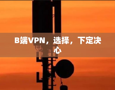 B端VPN,选择,下定决心
