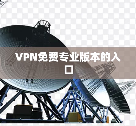 VPN免费专业版本的入口