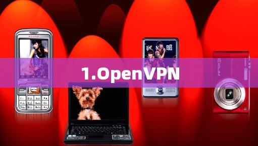 1.OpenVPN